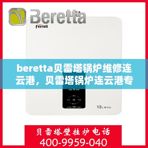 beretta贝雷塔锅炉维修连云港，贝雷塔锅炉连云港专业维修服务