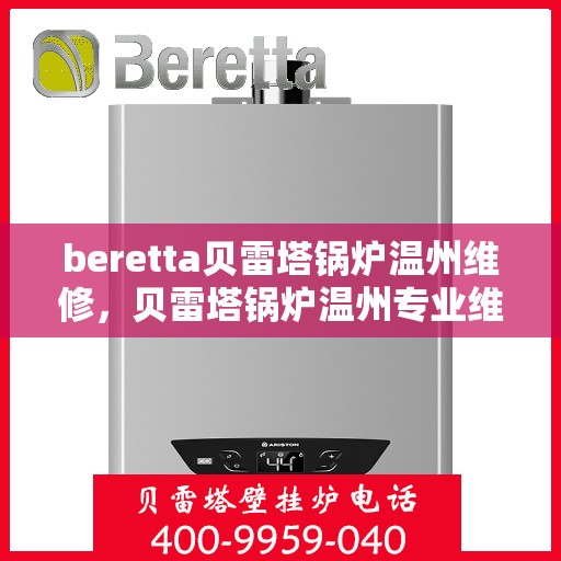 beretta贝雷塔锅炉温州维修，贝雷塔锅炉温州专业维修服务