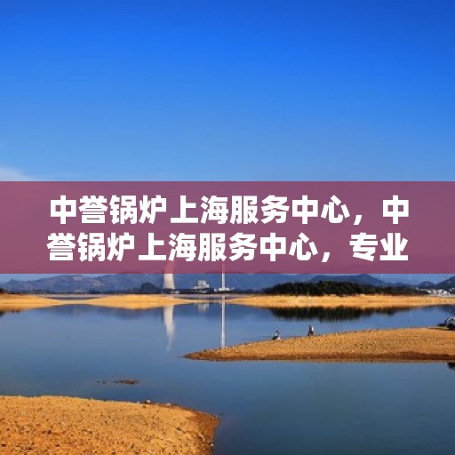 中誉锅炉上海服务中心，中誉锅炉上海服务中心，专业维修与高效服务的行业标杆