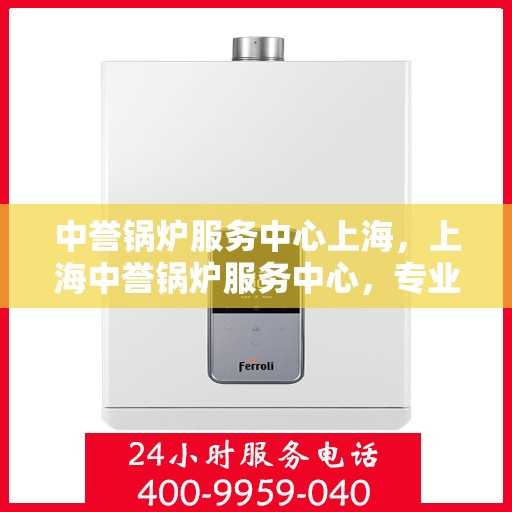 中誉锅炉服务中心上海，上海中誉锅炉服务中心，专业维护，卓越服务
