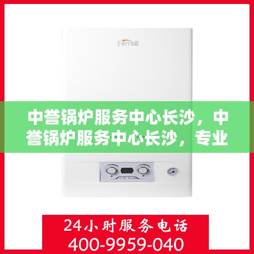 中誉锅炉服务中心长沙，中誉锅炉服务中心长沙，专业服务，高效运行，为您提供全方位的锅炉解决方案