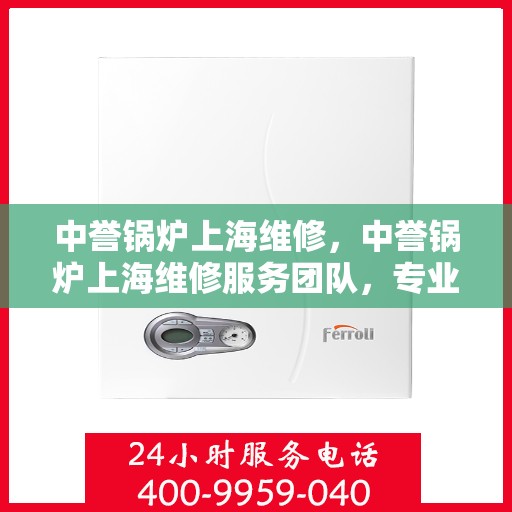 中誉锅炉上海维修，中誉锅炉上海维修服务团队，专业维护与高效解决方案